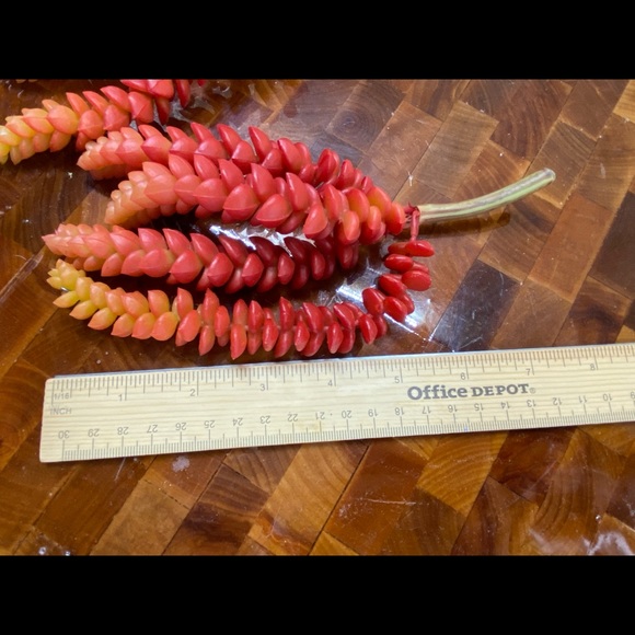 Lot of 6, Faux succulent florals for DIY - Picture 5 of 8